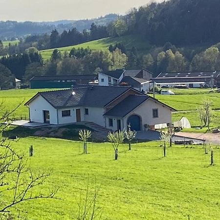 Charmant Gite, Au Calme, Avec Vue Imprenable Sur La Nature Environnante Deycimont ภายนอก รูปภาพ