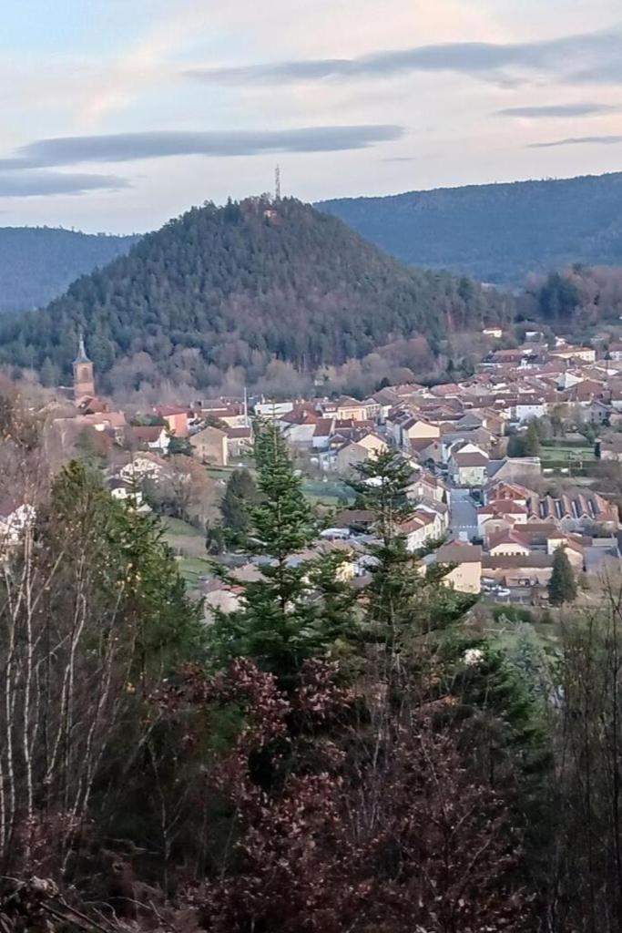 Charmant Gite, Au Calme, Avec Vue Imprenable Sur La Nature Environnante Deycimont ภายนอก รูปภาพ
