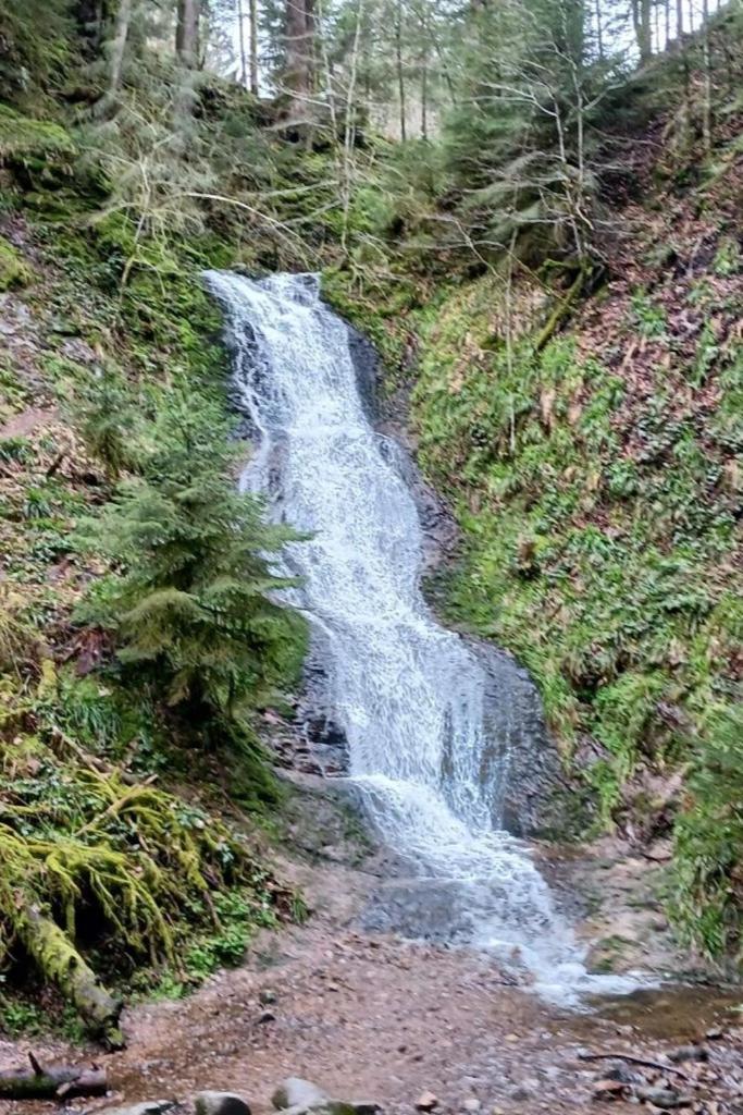 Charmant Gite, Au Calme, Avec Vue Imprenable Sur La Nature Environnante Deycimont ภายนอก รูปภาพ