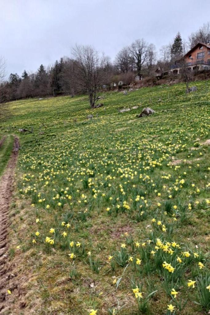 Charmant Gite, Au Calme, Avec Vue Imprenable Sur La Nature Environnante Deycimont ภายนอก รูปภาพ