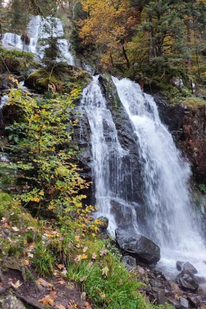 Charmant Gite, Au Calme, Avec Vue Imprenable Sur La Nature Environnante Deycimont ภายนอก รูปภาพ