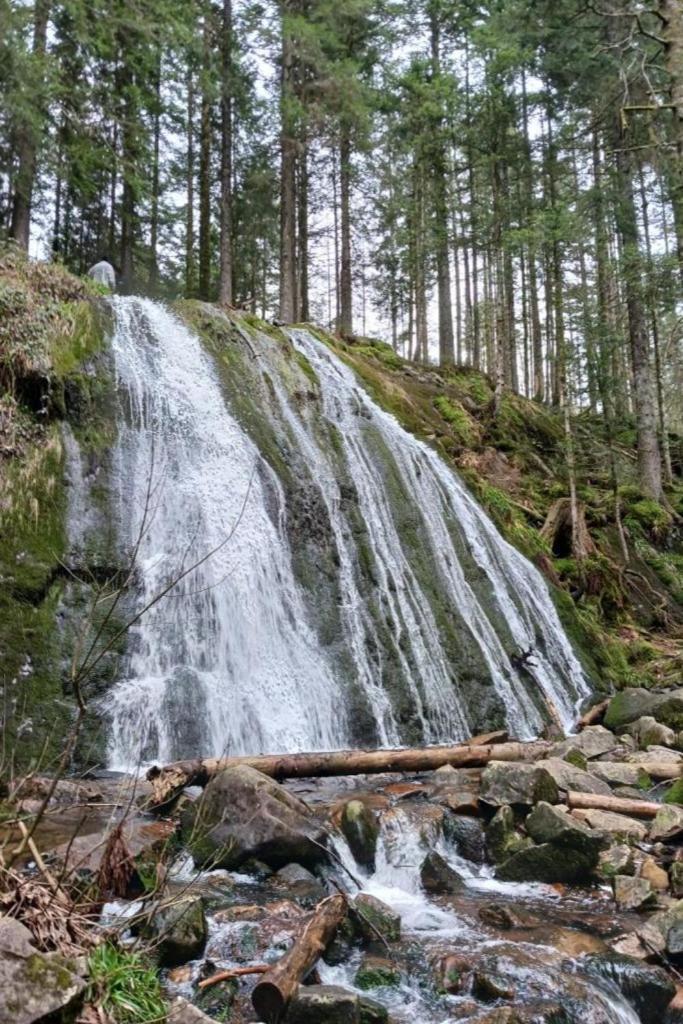Charmant Gite, Au Calme, Avec Vue Imprenable Sur La Nature Environnante Deycimont ภายนอก รูปภาพ