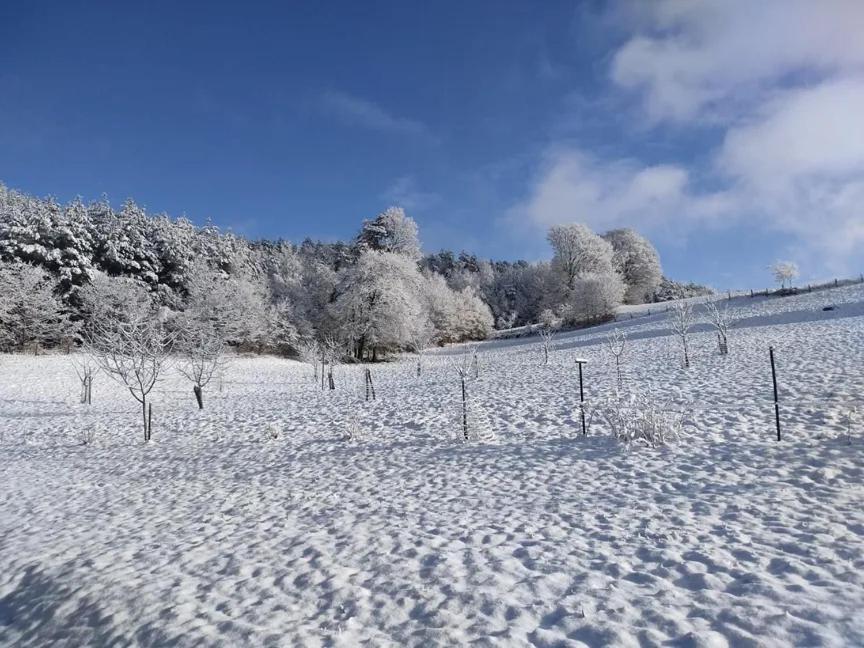 Charmant Gite, Au Calme, Avec Vue Imprenable Sur La Nature Environnante Deycimont ภายนอก รูปภาพ